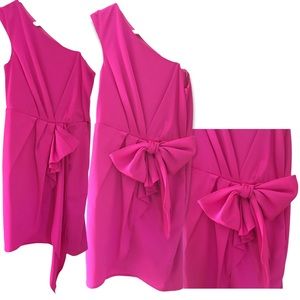 BCBGeneration Candy Pink Dress